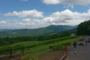 夏の堂平山・大霧山を歩く