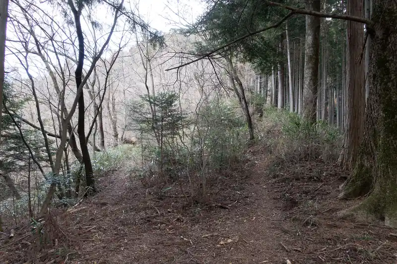 ここで謎の分岐。
左側には何やら屋根のようなものが見える。登山道は右側に続いている。