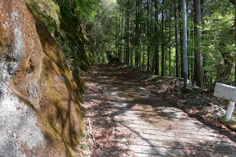 また舗装路に出て登っていく。