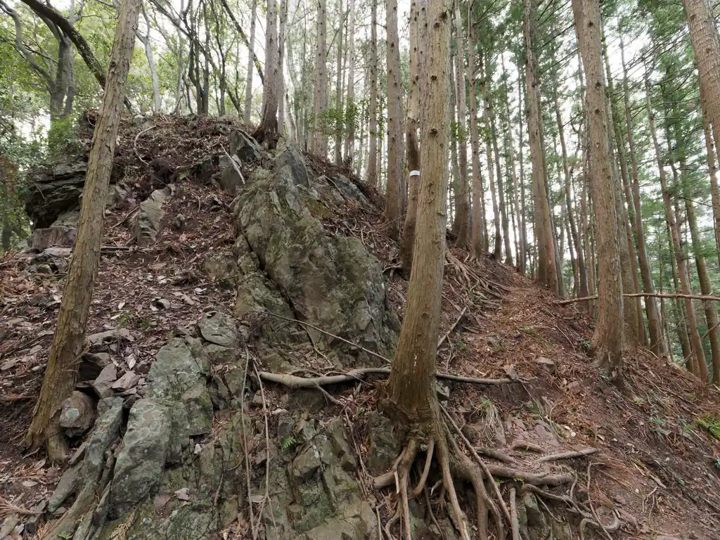 少し露岩のある部分もあるが、岩場とかはない。