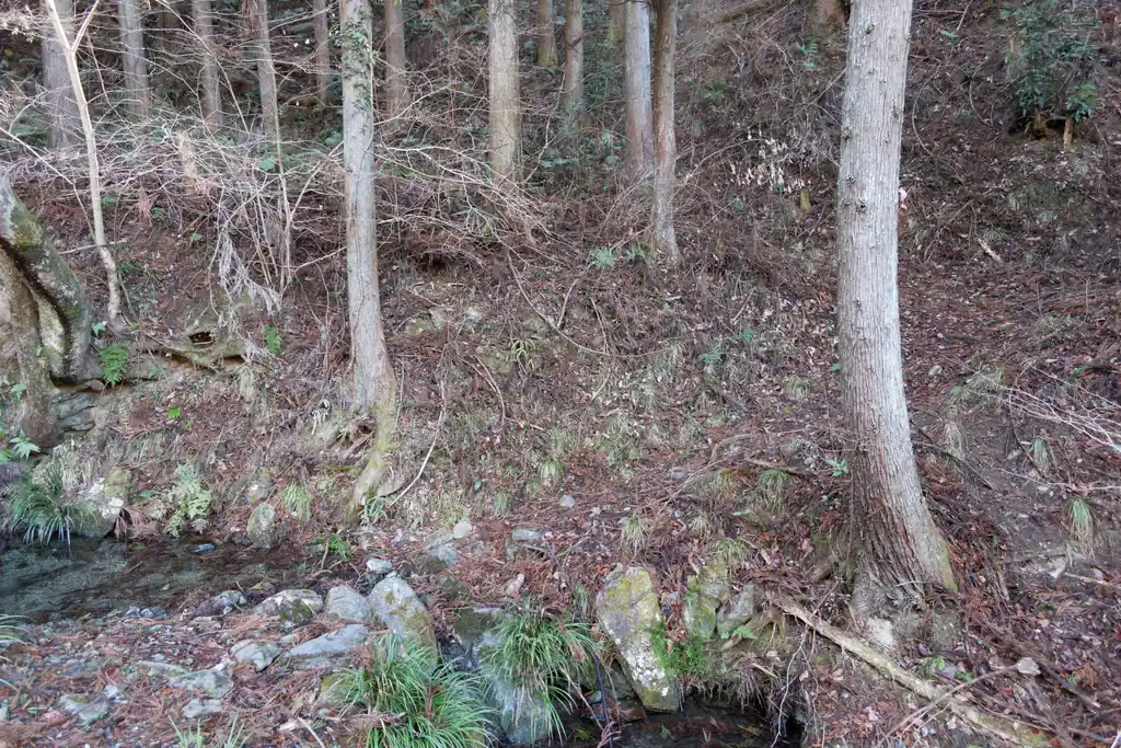 沢沿いに歩くと山道に入ります。前回この道を歩いたのは五月くらいでしたが、その時はだいぶ蜘蛛の巣の多い道でした。今日はそうでもなかったけど、この道、途中で他の登山者とすれ違うとか全くないんだよなあ。まあ1時間くらいで笠山手前まで出ちゃいますからねえ。