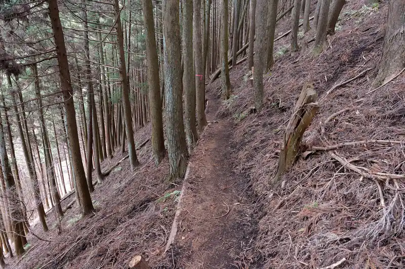 途中狭いトラバース道になりますが、これだけしっかりしていれば十分です。