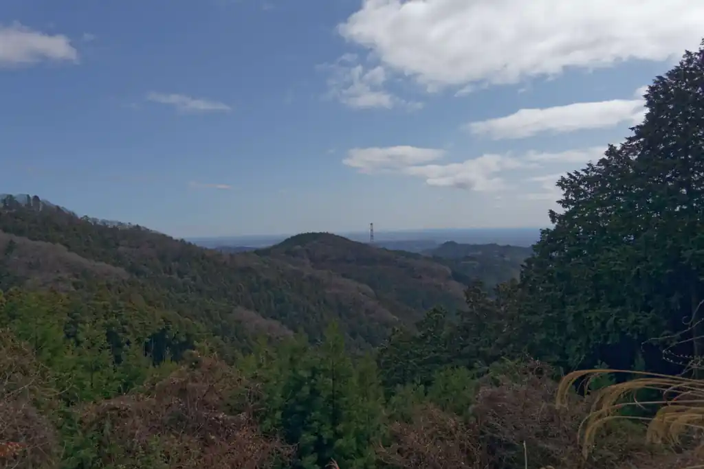 また眺めが良い。ここも伐採地だったかなあ。こういう眺めが良いところが数箇所あるんですよね。鹿避けっぽい柵がはられているところもあるし、急斜面をトラバースするような道で柵もなく、見晴らしがいいところもある。