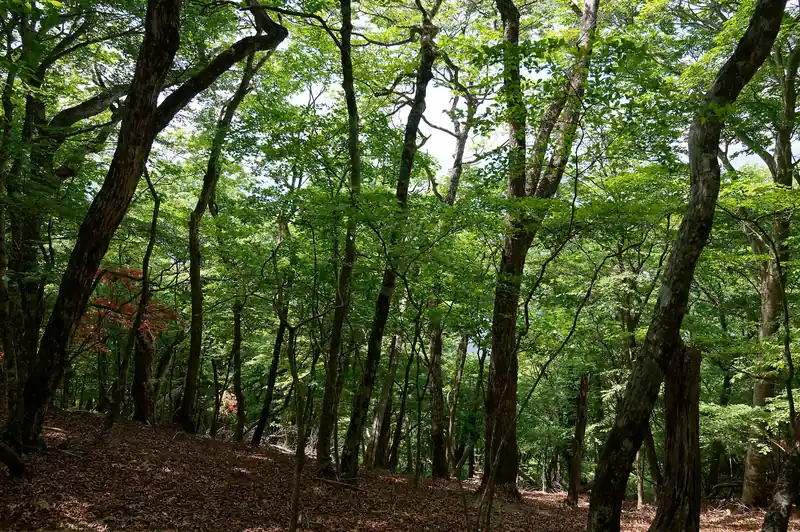 景色は何も見えず。