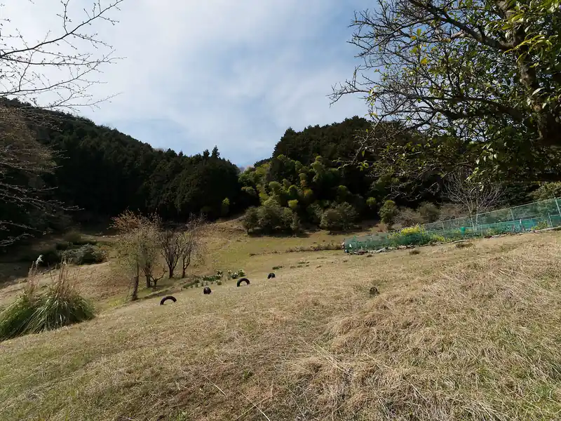 奥の方の森から出てきた。
長閑な集落だ。