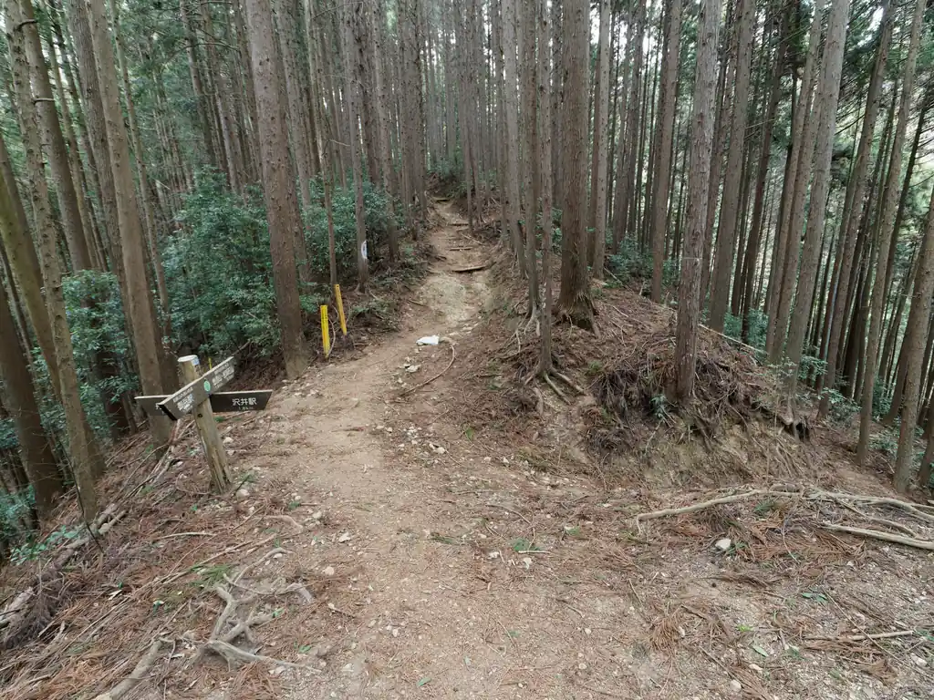ここで沢井駅からの登山道と合流するらしいが…人影はまだなし。

御嶽駅で下車した登山者は多かったのですが、ほとんどの方が御嶽山・大岳山狙いなのか、全く人がいません。
う～ん、高水三山って結構人がいる印象だったけど、そうでもないんだろうか？と頭に疑問符を浮かべながらとりあえず先に進みます。