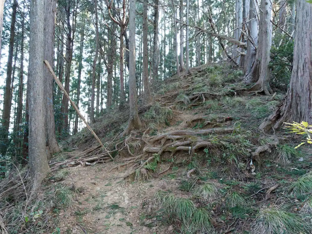 ここはフェイク巻き道だったかな。枝が積んであるのでわかりやすいですね。