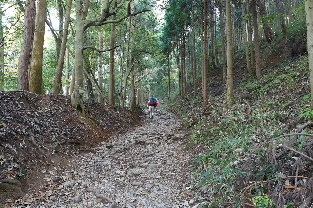 午前八時、登り始める。

伊吹山ゲートをくぐると、樹林帯の九十九折の道となる。このあたりではバスから降りた人たちが団子になっているのだが、次第にバラけていって、三合目に着く頃には団子はなくなっている。