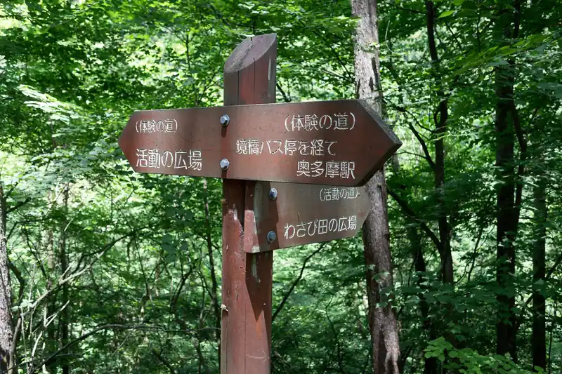 ここはわさび田の広場が気になったので、活動の道へ。