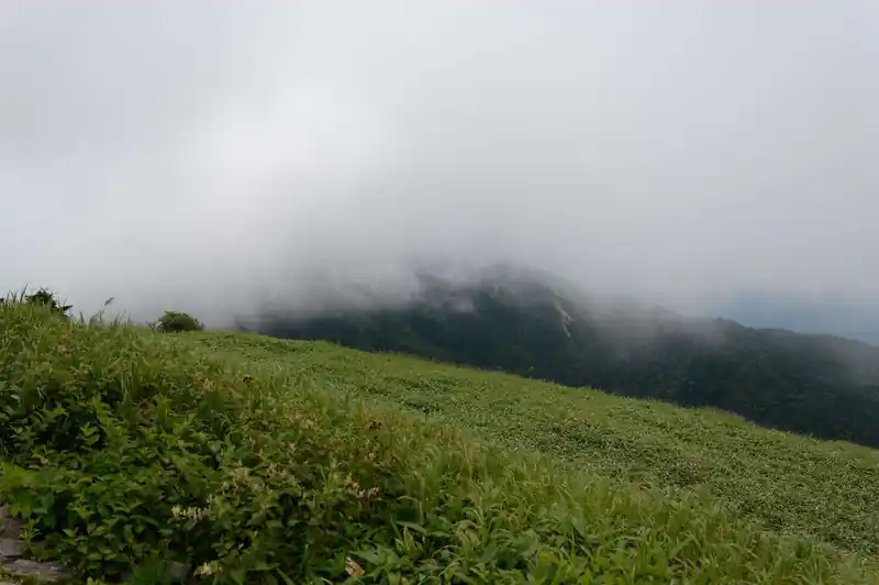 こっちは四阿山方面だと思うんだけど…山頂付近はガスがかかっていて何も見えませんな。
