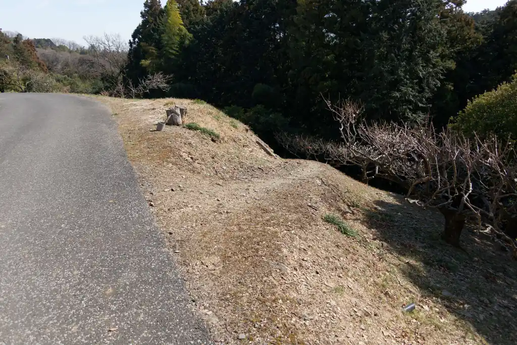 この道を歩いて下って行きます。

登りは登山道でしたが、下りは車道みたいな感じの道です。