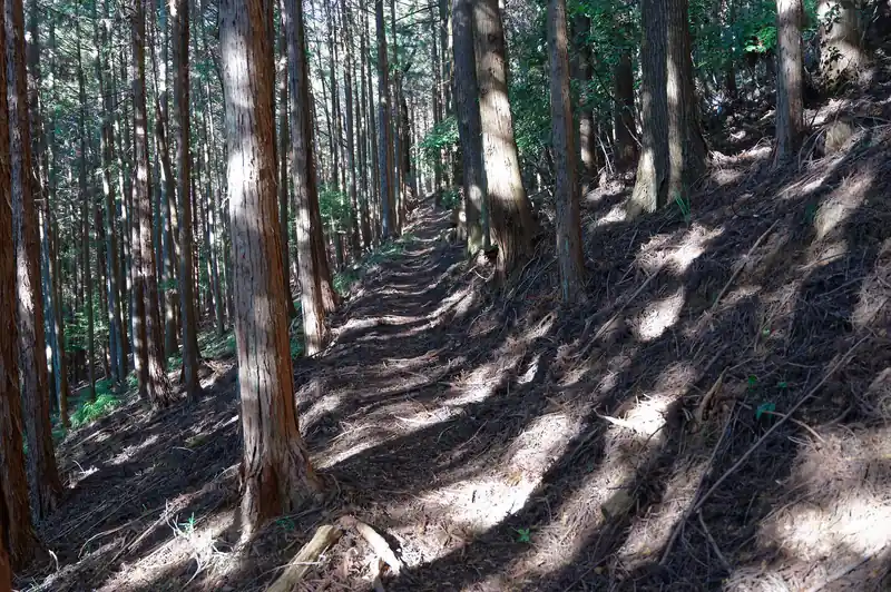 歩いて行きます。
緩やかに登っていく九十九折の道です。