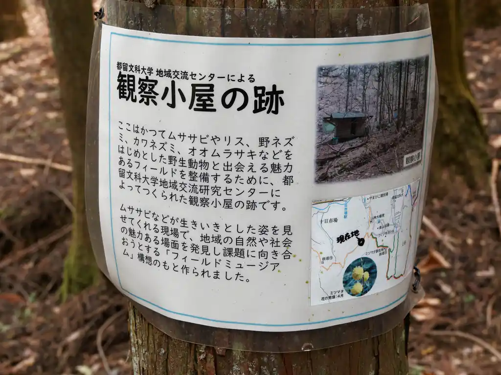 都留文科大学の観察小屋跡地があるらしい。