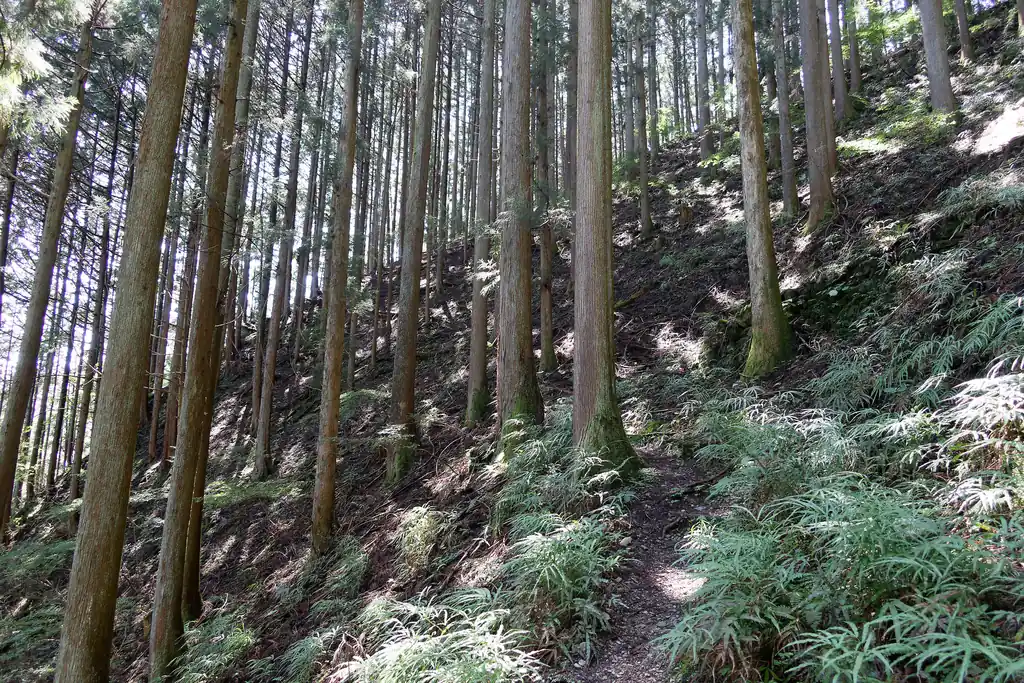 人通りは少ないけど道自体はわかりやすく歩きやすいです。