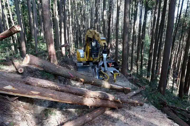 まだ伐採作業中のようで重機がそのままになっていました。