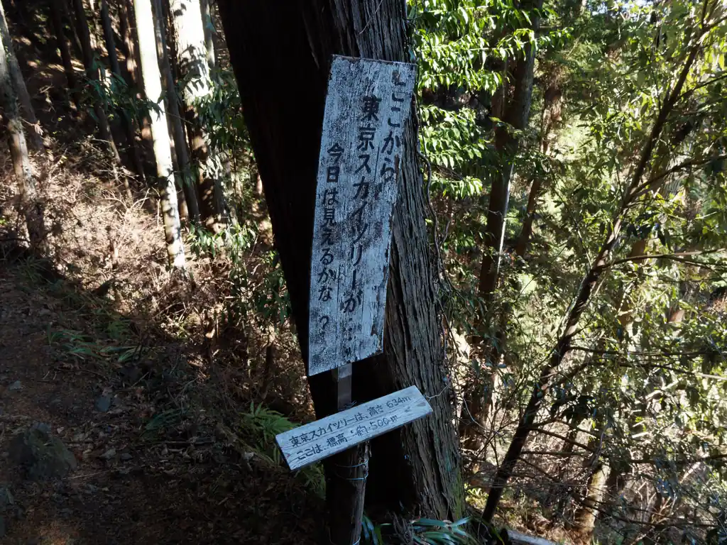 奥に歩いていくと再び登山道へ。
ここからスカイツリーが見える…のですが、ほぼ冬限定。夏は空気がモヤっとしており遠くまで見通せない。
