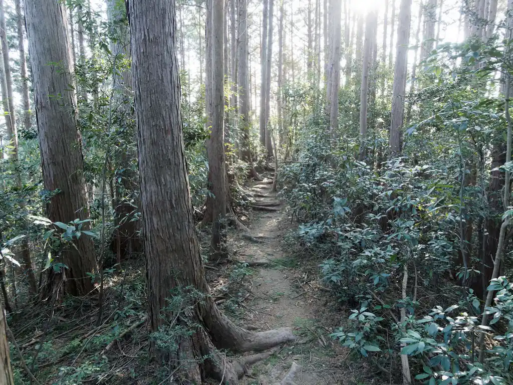 雰囲気の良い道です。