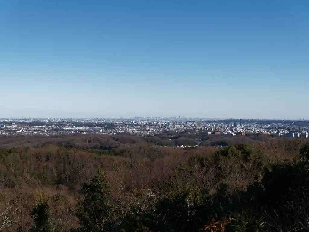 こっちは都心方面。微妙にスカイツリーが見えるかどうか。