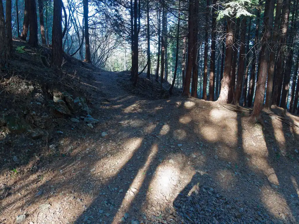  また踏み跡っぽい道があったので、少し歩いてみる。 