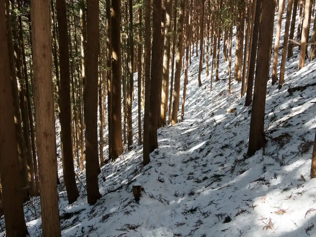 大野峠から降りる道は、雪が降ると道の状態が見えないので結構緊張感あります。

雪の下に石があったり、木の根があったりして、軽アイゼンが地面に刺さらなくてバランス崩したりするんですよね。あとアイゼンの爪が木の根っこに引っかかって転びそうになったり。