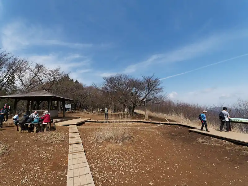 権次入峠からは山頂まで木の根の道を歩いていくと到着。
少し前までは山頂に木板の道なんてなかったんですが、登山者が多いせいか整備されていました。
