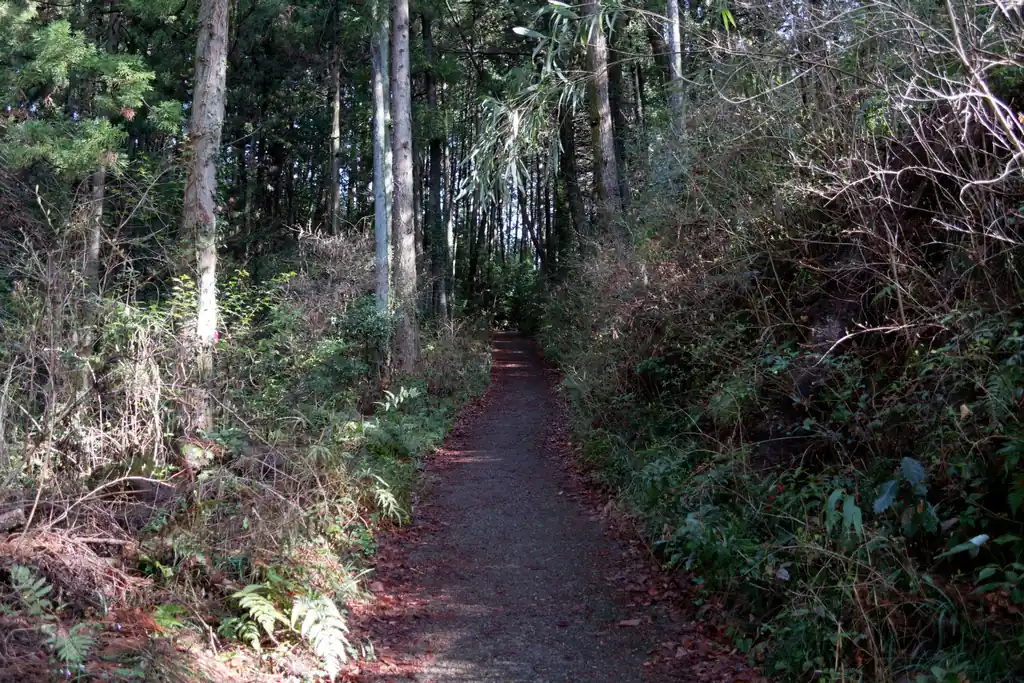次第に山道っぽくなってきました。