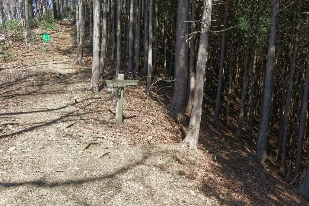 鍋割山の迂回路。