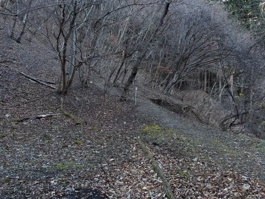 ここが登山口。
少し先に、道幅の狭い、急斜面につけられたトラバース道があり、そこが少し緊張するくらいで、あとは歩きやすい九十九折りの道である。