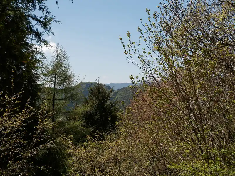 降り始めると早速樹間から大持山・子持山とみられる山が見える。なかなかアップダウンがきつそうなルートだ。
そのうち歩きにいきたい。