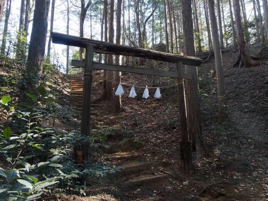 越上山分岐のところにある諏訪神社奥宮。
久しぶりに登ってみることにする。