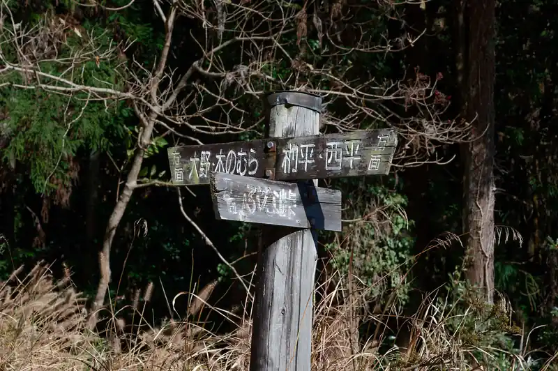 新柵山に登る予定でしたが、風が強くやる気なし。
今日はこのあたりで集落側に降りて、弓立山に登って帰宅にしようかと思います。