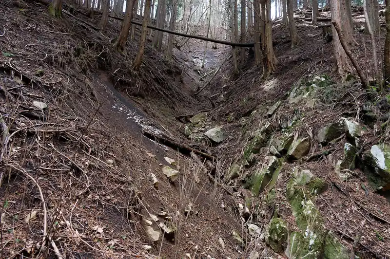 崩落地を下から見上げてみたんですが、まあよくわかりません。