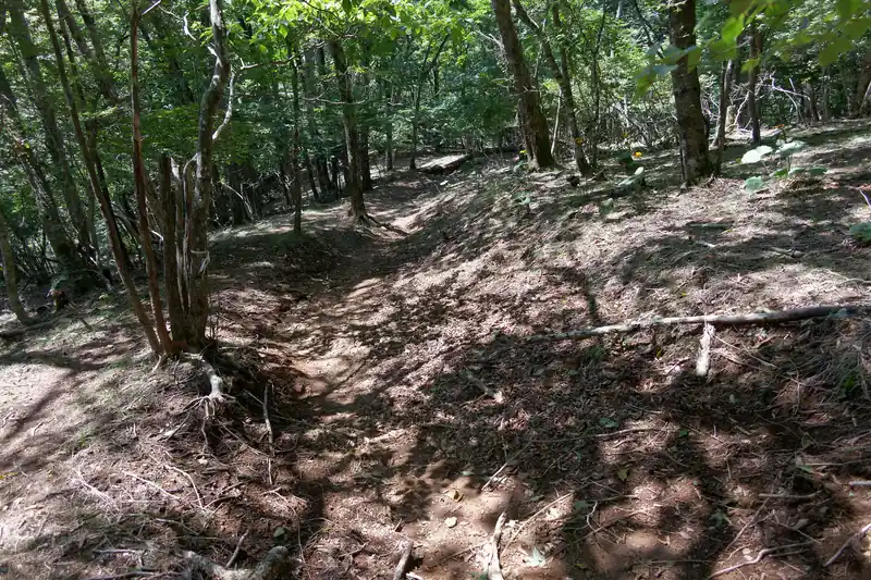とりあえず河口湖アルプスはおいておいて、もとの道へ戻って下っていきます。