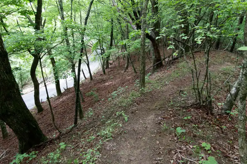 舗装路が見えてきました。