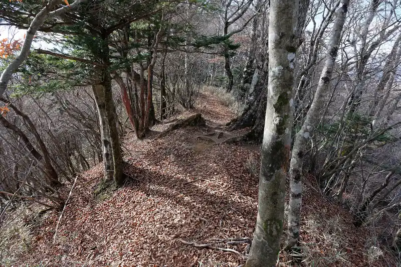 若干尾根が狭くなってきました。