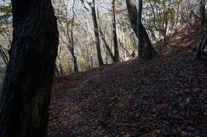 振り返って撮影。
尾根に乗れば九鬼山まで後少し。
