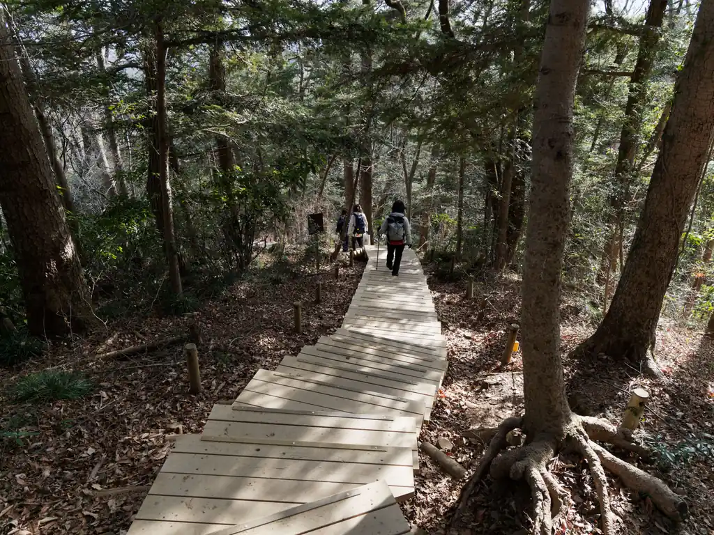 高尾山頂でやることもないので、適当に景色を見たらさっさと下山します。

何号路が良いのかよくわからないけど、稲荷山コースは工事中で通行止めっぽいので、一番面白そうな6号路のびわ滝コースを選択。すげー！階段になっとるー！下山するまでこれなのか…！？と思って歩いてたらすぐに階段は終わって登山道に。