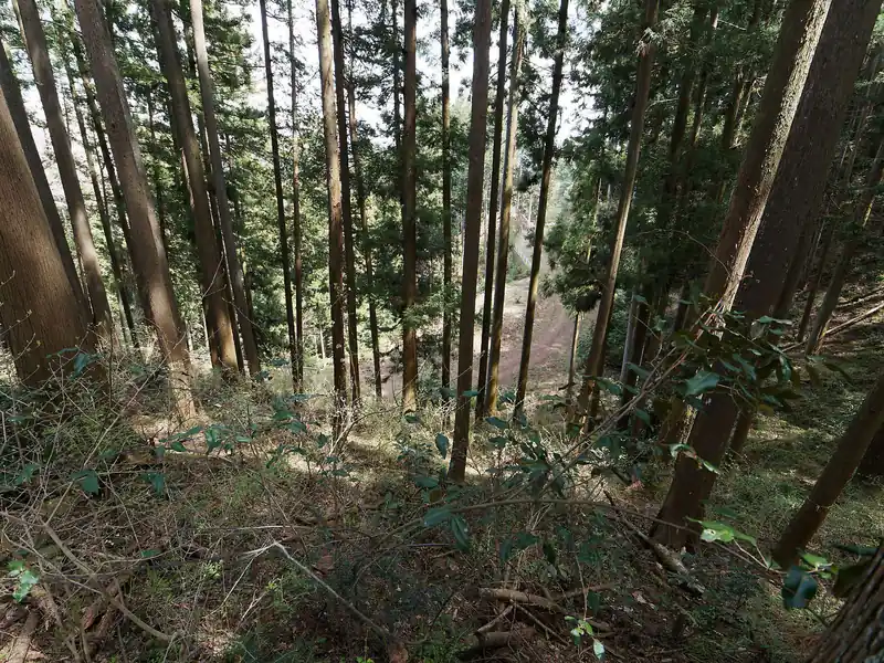 右側にブルドーザー道を見つつ少し細い尾根道を歩いていく。