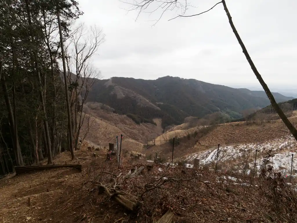 ここは大規模伐採地のようで見晴らしが良い。
向こうに見えるのは高水山かな？

結局岩場どこなんだろ？と思って歩いていると…