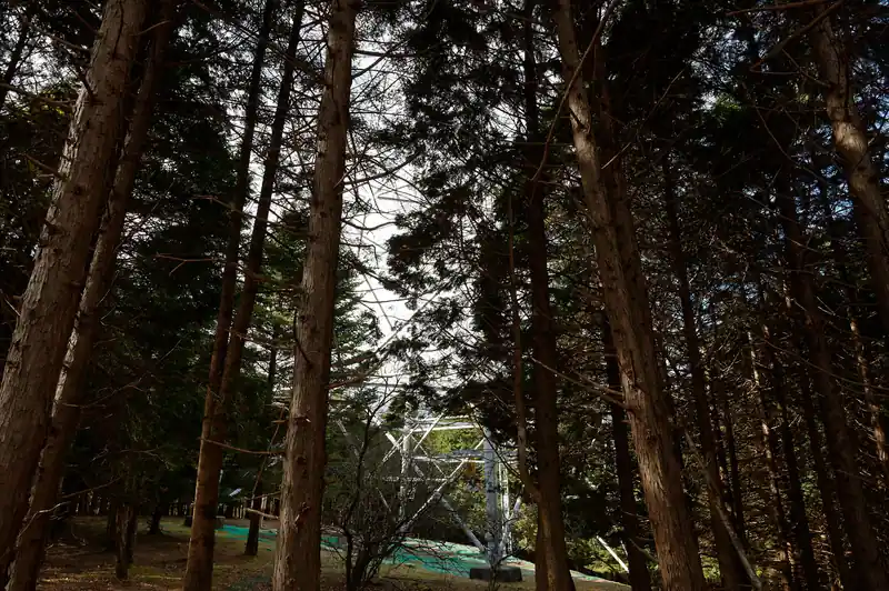 送電鉄塔を脇に見ながら進みます。
車の音がしてきて、明神峠が近づいてきたことがわかります。
