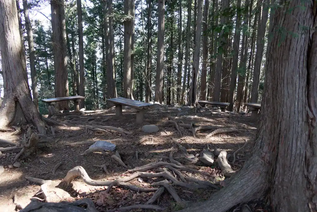 YAMAPだと鋸山登頂者数は直近一か月で600～700人くらいとなっていたんですが、ここまで誰とも出会っていません。前の方に何人か登山者がいたんですが、あっという間にちぎられてしまい、その後追いつくことはありませんでした。

どうも大岳山から下山で鋸尾根を使うのが人気らしい。私は下山であの道は歩きたくないけど。奥多摩駅至近なので、確かに便利は良い。