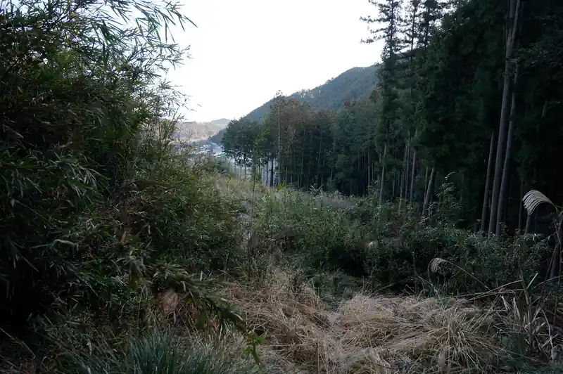 伐採地をのんびり登ってきました。振り返ると民家…が少し見える。