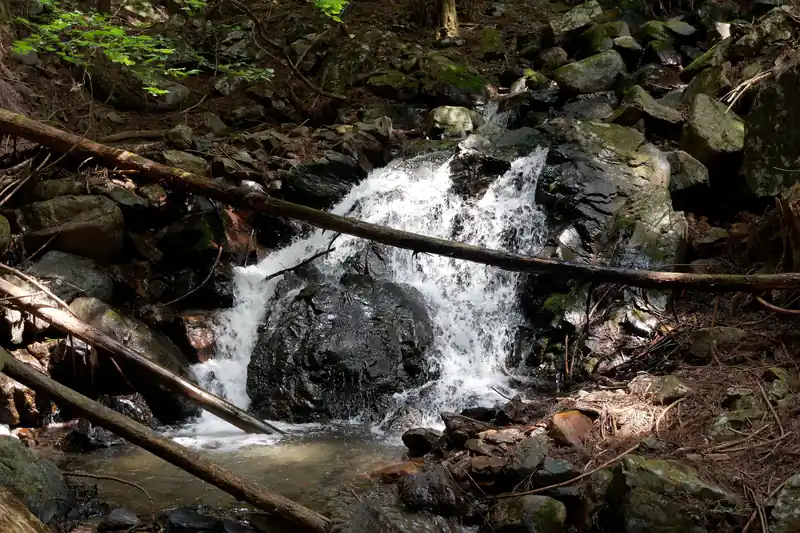 しかし水量の豊富な沢です。