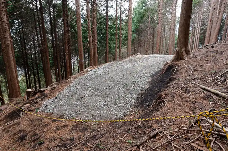 おそらくさっきの道でしょう。結構山頂近くまで続いていました。