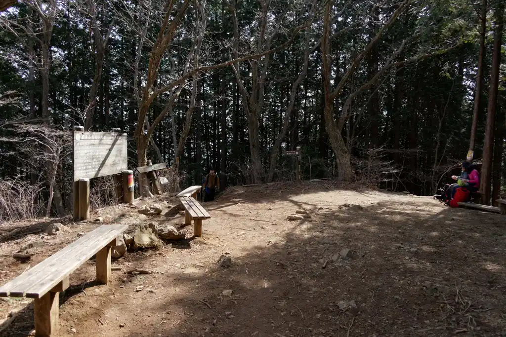 権次入峠まで登ってきて、ここから右の黒山方面のルートに行きます。