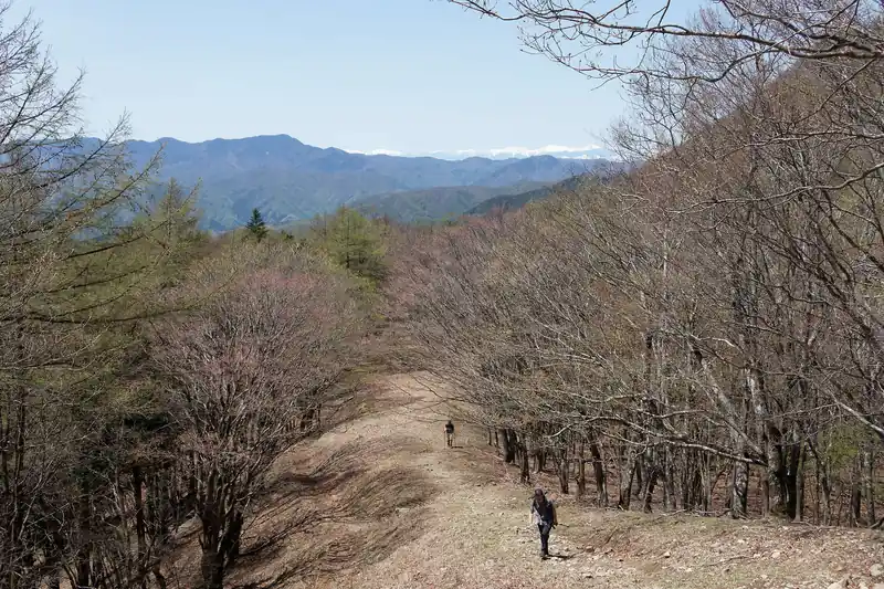 振り返ると奥に（たぶん）南アルプス。
このあたりの尾根道は本当に気持ちがいい。いつまでも歩きたくなる道です。