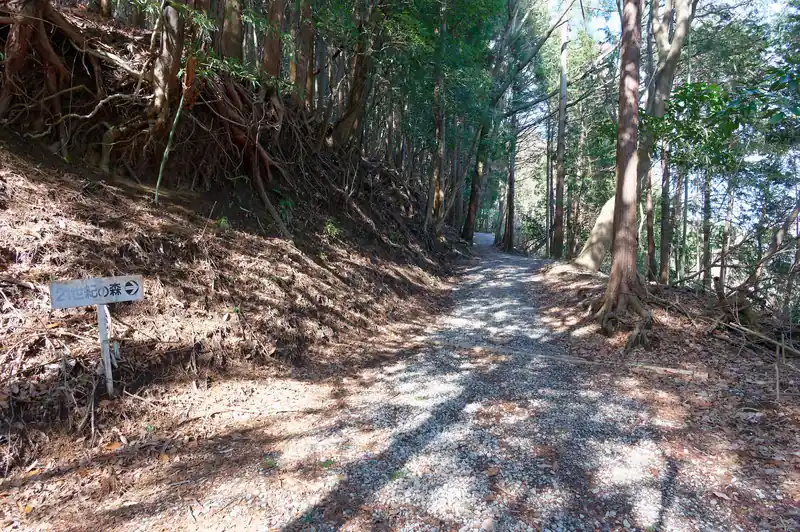 ここでT字路の分岐。登ってきて右側が21世紀の森。こっちに歩いていきます。