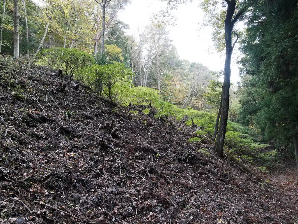 これが噂のミツマタ群生地かな。
ミツマタは三月、四月あたりが見頃のようなので、その時期は都留アルプスも賑わうのかもしれない。