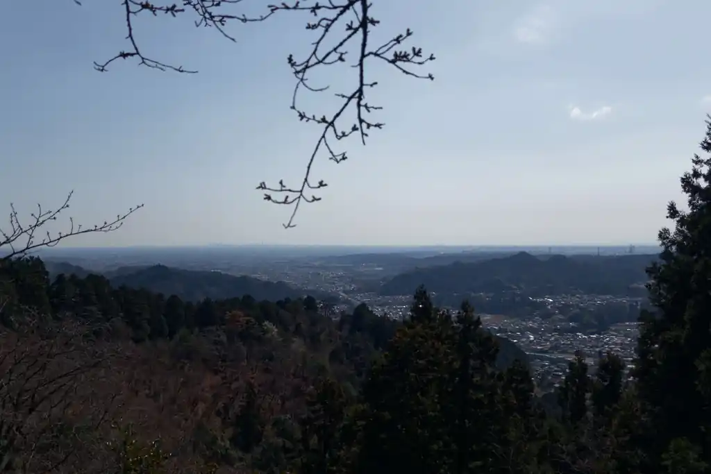ちょっと霞んでいる気もしますが、前日に雨が降ったせいか結構遠くまで見渡せますね。

左の方、地平線にスカイツリーがたっているのがわかります。