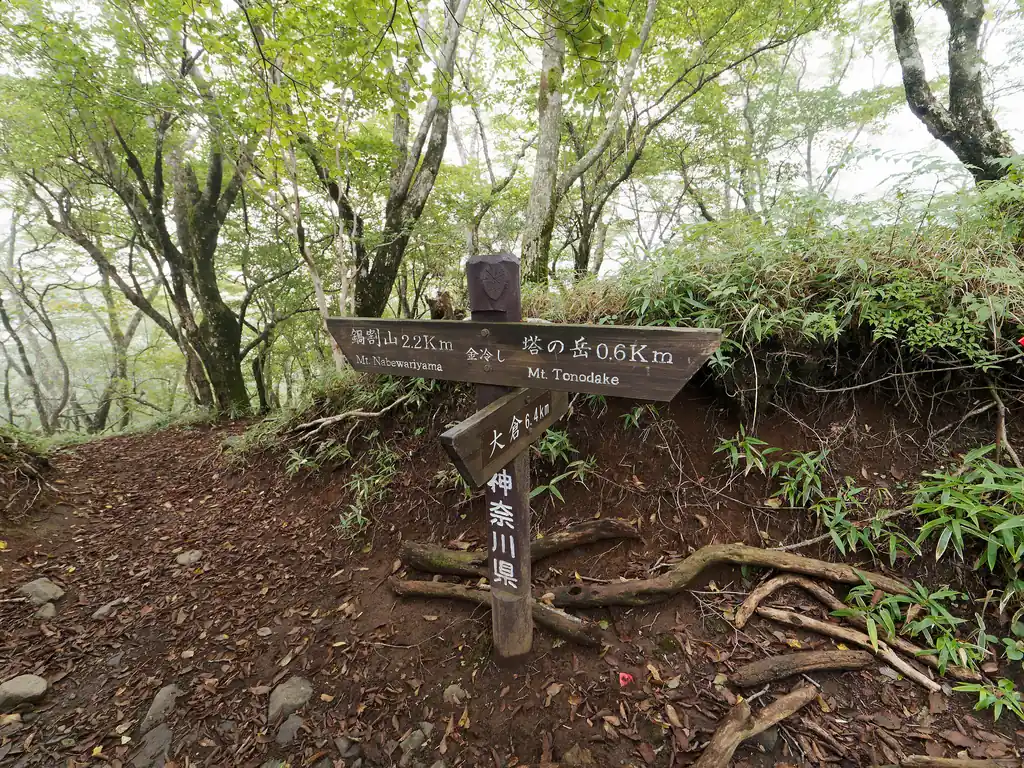 ようやく金冷しにつきました。
ここは鍋割山方面への分岐でもあります。鍋割山も行って見たいけど、今日はとりあえず大倉尾根ピストンだけの予定なのでスルーです。

ここから塔ノ岳までは100mほど標高をあげる必要があります。最後の気力を振り絞りましょう。